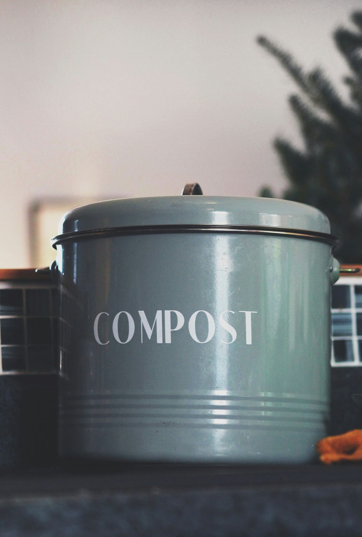 Smart Indoor Compost Bins: What to Know About Capacity, Carbon Filters, and Auto-Clean Features