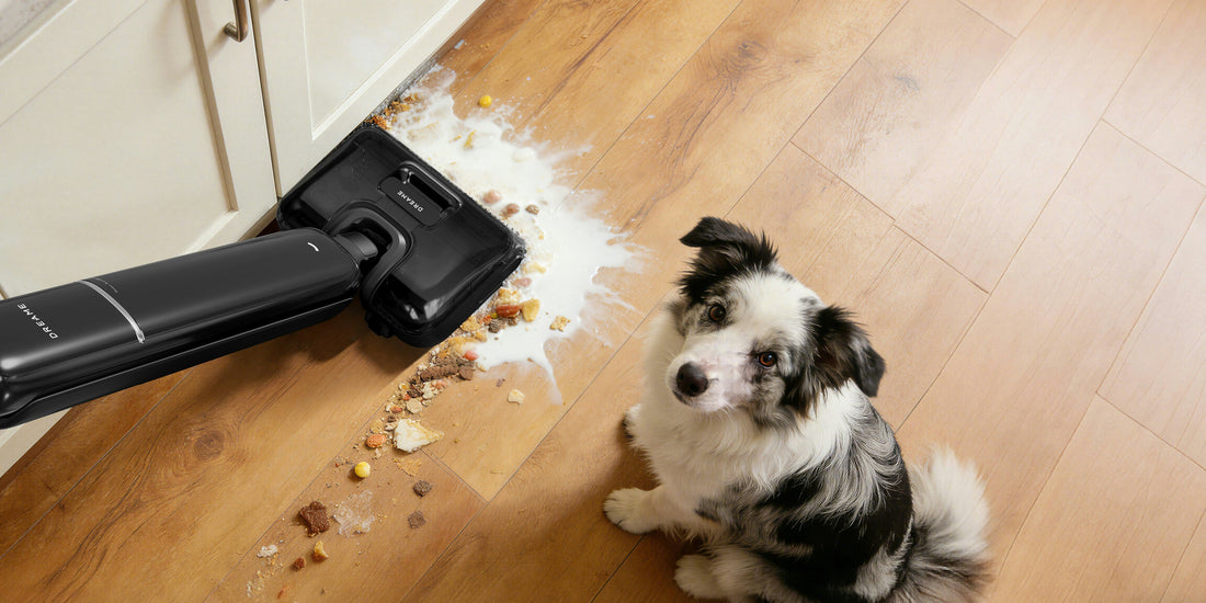 Vacuum Care Tips for Homes with Pets