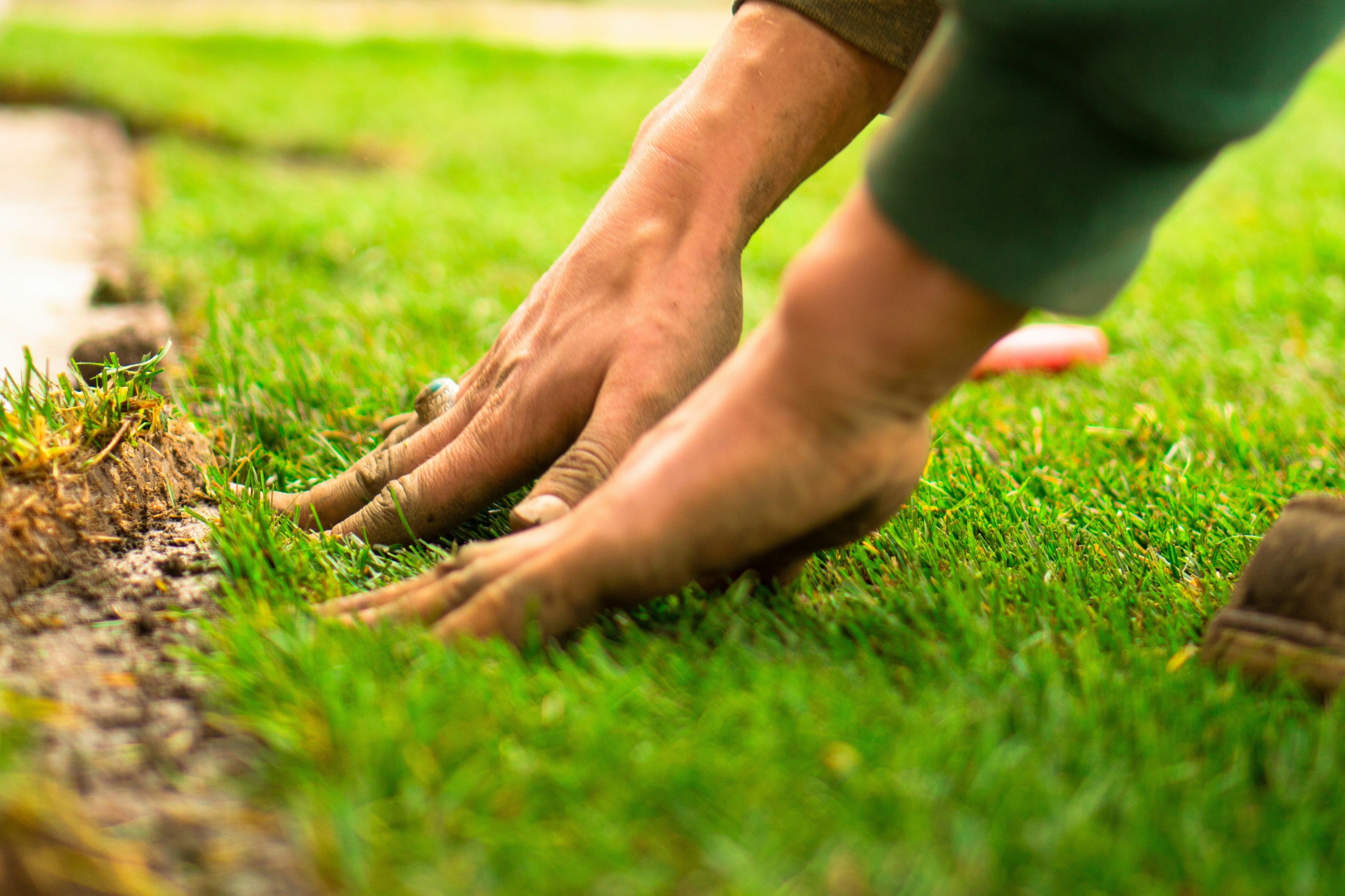Signs Your Lawn May Need Better Drainage