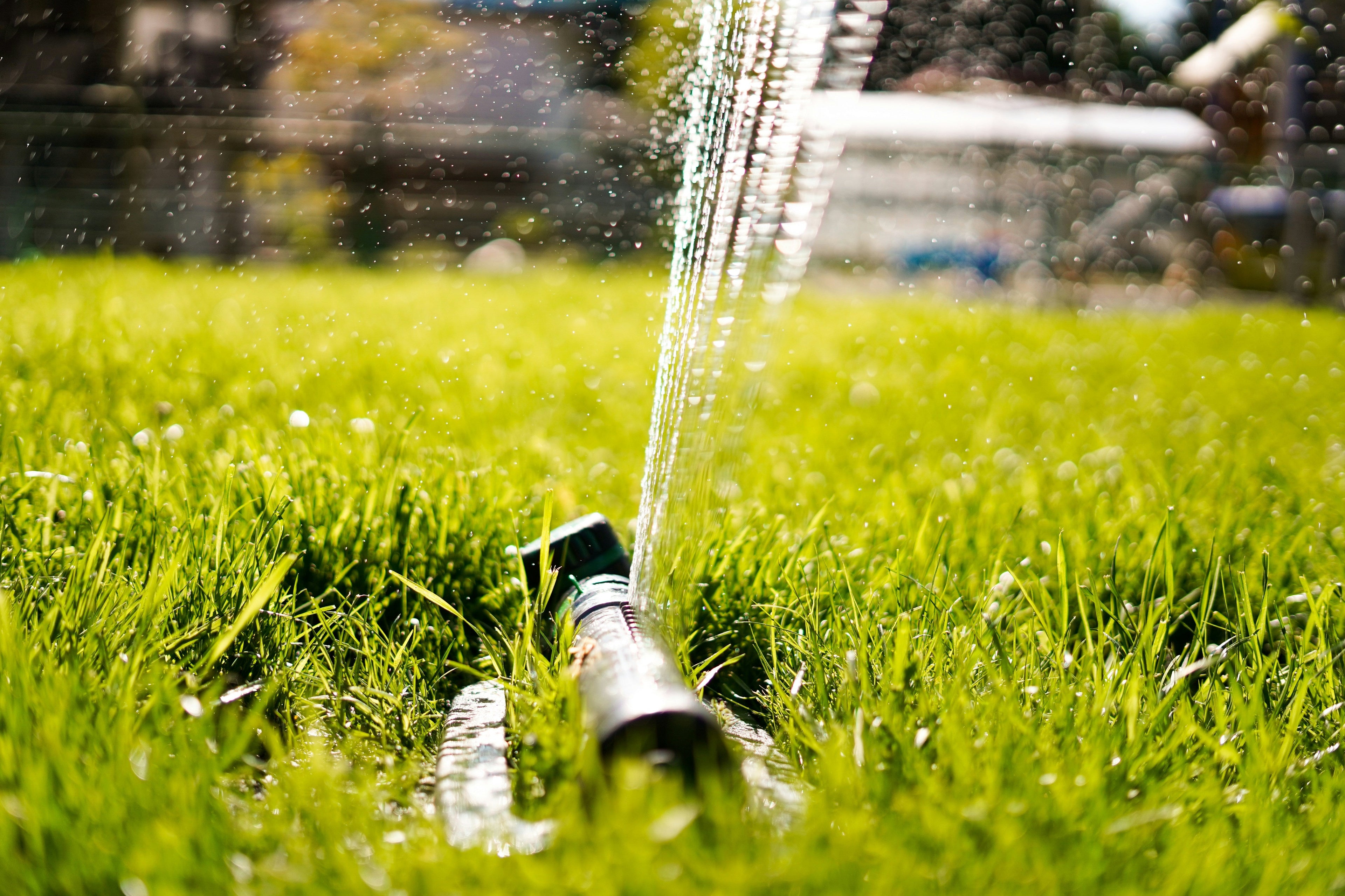 French Drain Basics for Managing Standing Water in the Yard