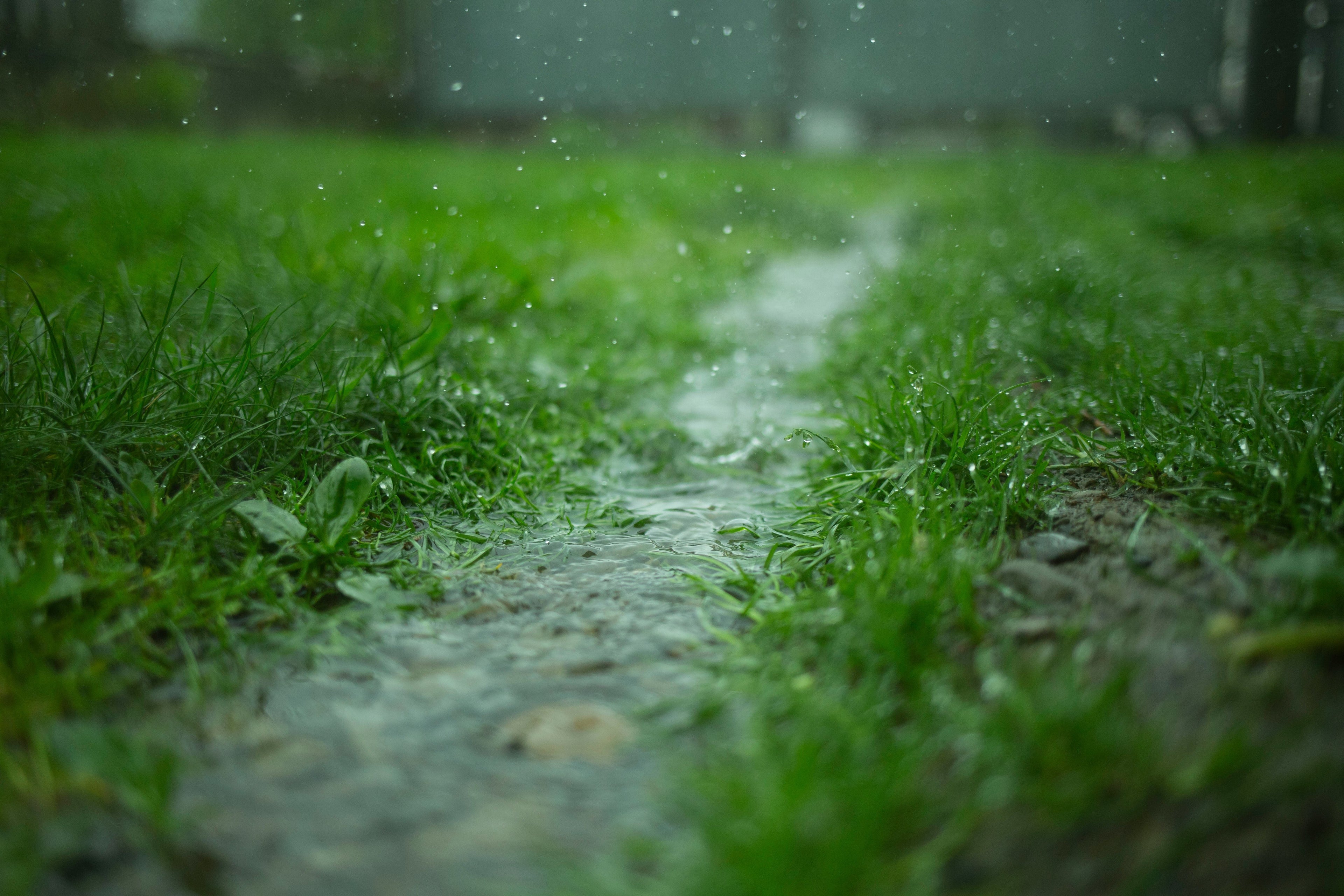 DIY Drainage Ideas for Small Backyard Problem Spots