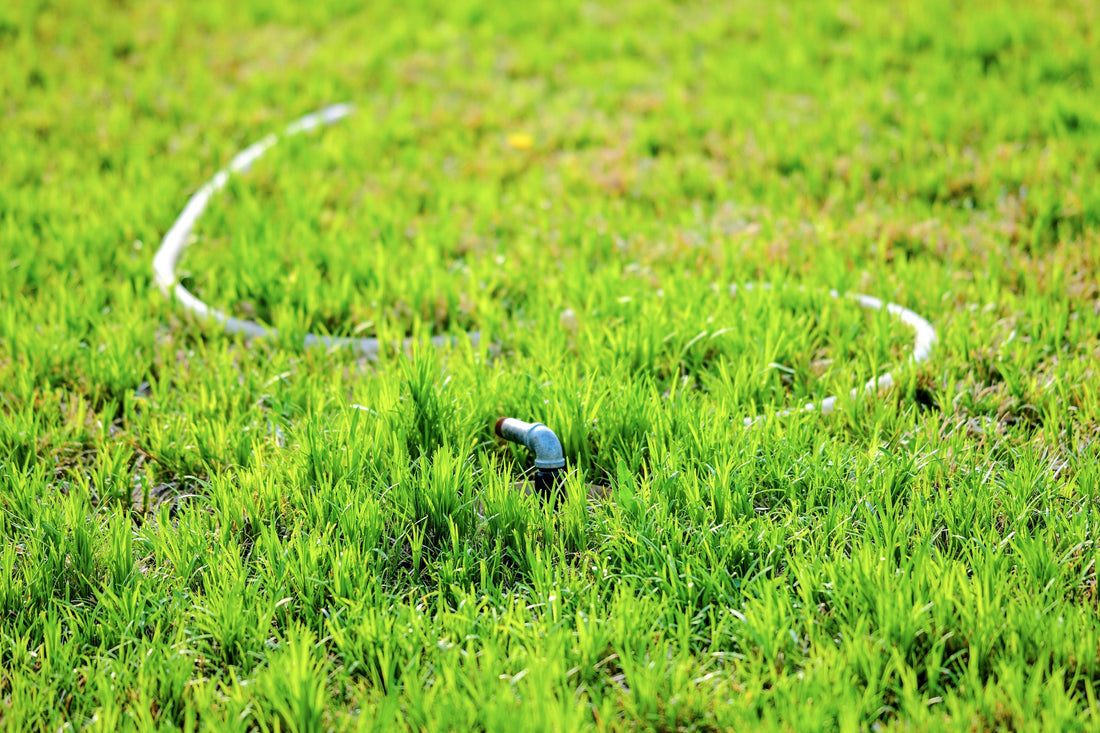 Using Perforated Drain Pipe to Redirect Groundwater Around a Lawn