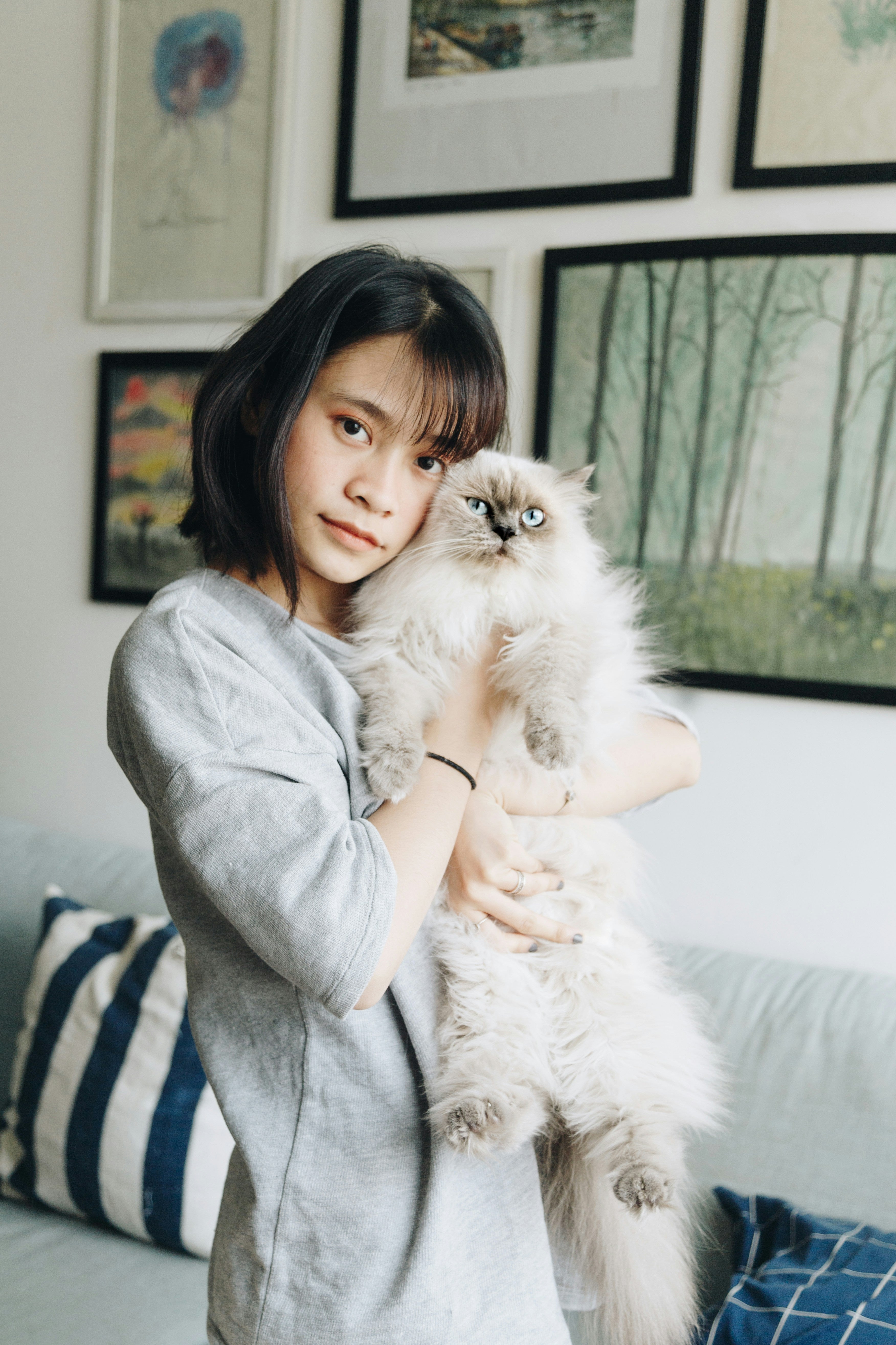 How to Improve Air Quality in a Large Room with Pets