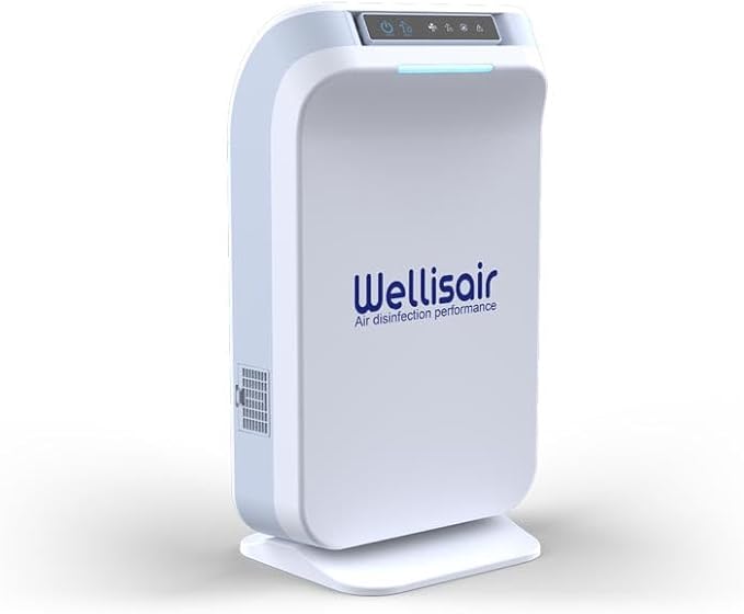 Wellis Air Purifier for Home, Electric HEPA Filter, Large 14.5x8.6x5.9 Inches, Push Button Control, Low Noise 6dB, with Extra Cartridge