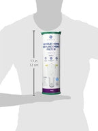 GE FTHLM Whole House Water Filter, Replacement for Water Filtration System, NSF Certified: Reduces Chlorine, Sediment, Rust & Other Impurities, Replace Every 3 Months for Best Results, 1 Filter