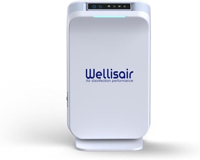 Wellis Air Purifier for Home, Electric HEPA Filter, Large 14.5x8.6x5.9 Inches, Push Button Control, Low Noise 6dB, with Extra Cartridge