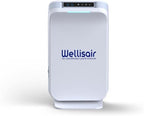 Wellis Air Purifier for Home, Electric HEPA Filter, Large 14.5x8.6x5.9 Inches, Push Button Control, Low Noise 6dB, with Extra Cartridge