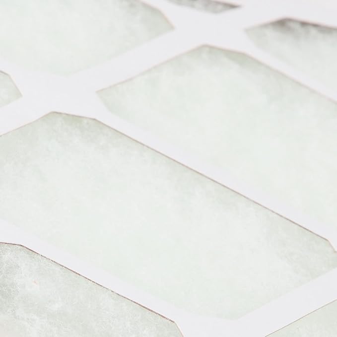 Nordic Pure 20x30x1 (Actual Size: 19 5/8 x 29 5/8 x 3/4) Poly Green MERV 6 AC Furnace Air Filters – Reduces Dust, Pollen, Pet Dander & Allergens – 2-Pack