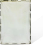 Dexter Lint Screen Replacement – Durable Frameless Dryer Lint Filters for Commercial & Residential Use (9822-031-002) - 21" X 34" (Pack of 1)