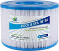 F4Y- PLF-INTS1 Pool Filter Replacement Compatible with All Pure Spas Models Including 28403E, 28407E, 28443E, 28453E, 28421E, 28423E, 28413E, and 28453E Filter Cartridges (8 Pack)
