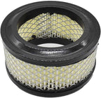 Interstate Pneumatics SA16F Air Intake Filter Element for Compressors Replaces OEM 32170979
