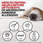 Honeywell Genuine HEPA Air Purifier Filter G, 2-Pack, Airborne Allergen Air Filter Targets Smoke, Pollen, Pet Dander, and Dust