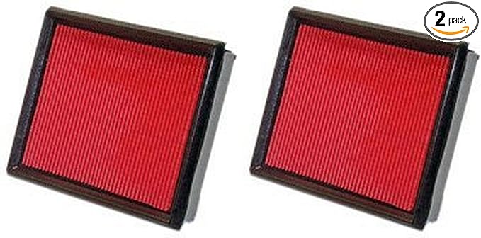 WIX WIX46044 Filters - 46044 Air Filter Panel, Pack of 2