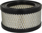 Air Compressor Inlet Filter with Element 32170953 Compatible with Ingersoll Rand 2340 2475 Stationary Reciprocating Compressor Pump