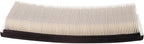 ECOGARD XA5560 Premium Engine Air Filter Fits 2005-2010 Chrysler 300, 2006-2010 Dodge Charger, 2009-2010 Challenger, 2005-2008 Magnum