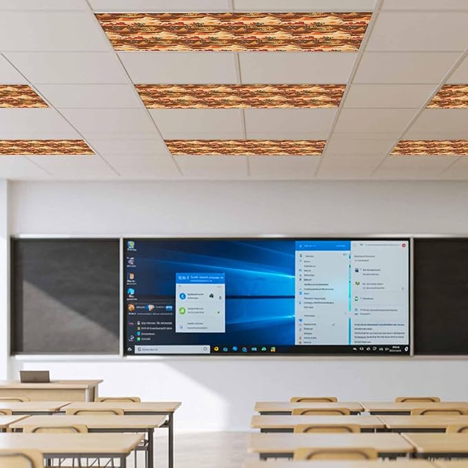 Tropical Plant Cactus Fluorescent Light Covers 4 Pack Western Cowboy Horse Sunset Deserts Brown Magnetic Fluorescent Ceiling Lights Filters for Office Classroom Home Drop Ceiling 4x2 Feet
