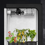 iPower Grow Tent Ventilation System 4 Inch Inline Duct Ventilation Fan 195 CFM, Carbon Filter and 8 Feet Ducting and 1 Pair Rope, Circulation Vent Blower Air Filtration Kit