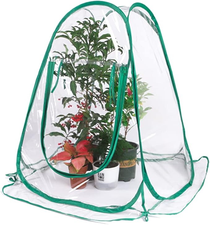 Pop Up Greenhouse Mini Plant Cover - PVC Greenhouses for Flower and Seedling Protection - Outdoor Frost Tent with Transparent Rolling Windows - Includes 4 Steel Hoops & Storage Bag