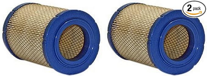 WIX Air Filter (Pack of 2)
