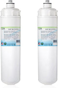 Swift Green Filters SGF-96-19 VOC-L Replacement water filter for Everpure EV9635-26, EP25, EP15 (2 Pack)