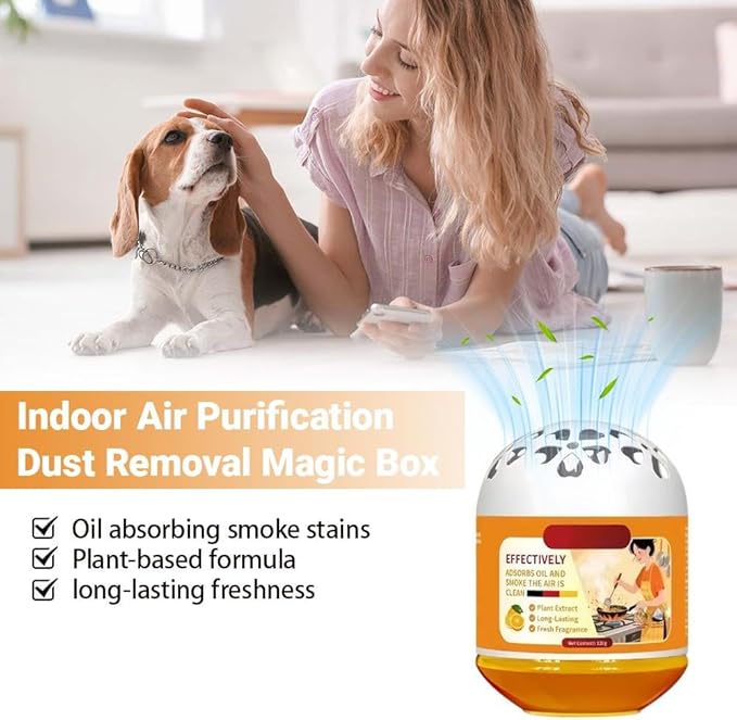 Indoor Air Purification Dust Removal Magic Box, Multi-Functional Air Magic Box, Long-Lasting Airs Purification Dust Removal, No Electricity & Noise, For Home Kitchen Pet Areas (2pcs)