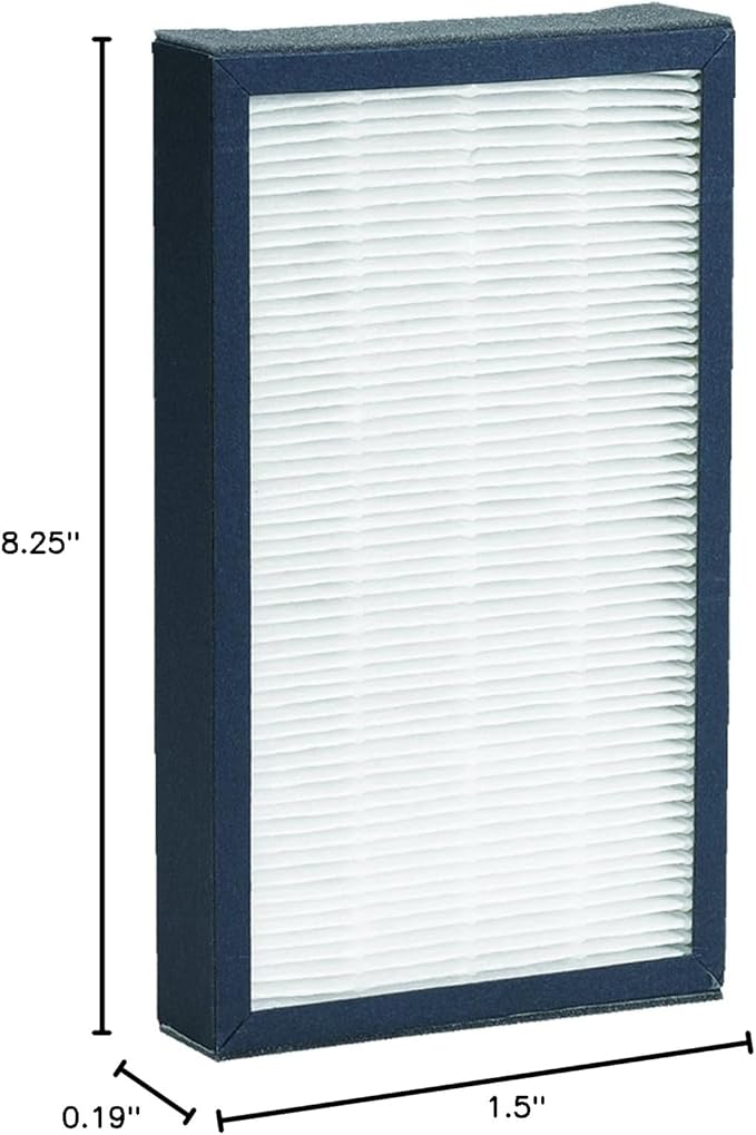 GermGuardian Filter E HEPA Pure Genuine Air Purifier Replacement Filter, Removes 99.97% of Pollutants, for AC4100, AC4100CA AC4150BL, AC4150PCA Air Purifiers, 2-Pack, Black, FLT41002PK