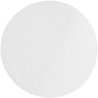 Omicron 170090X Nylon Membrane Circle, 90mm, 0.45 Micron (Pack of 50)(Cross Reference 7404-009)