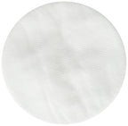 Moldex 8910 N95 Particulate Pre Filters Box 10 Each