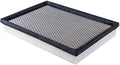 Denso Air Filter - 143-3482