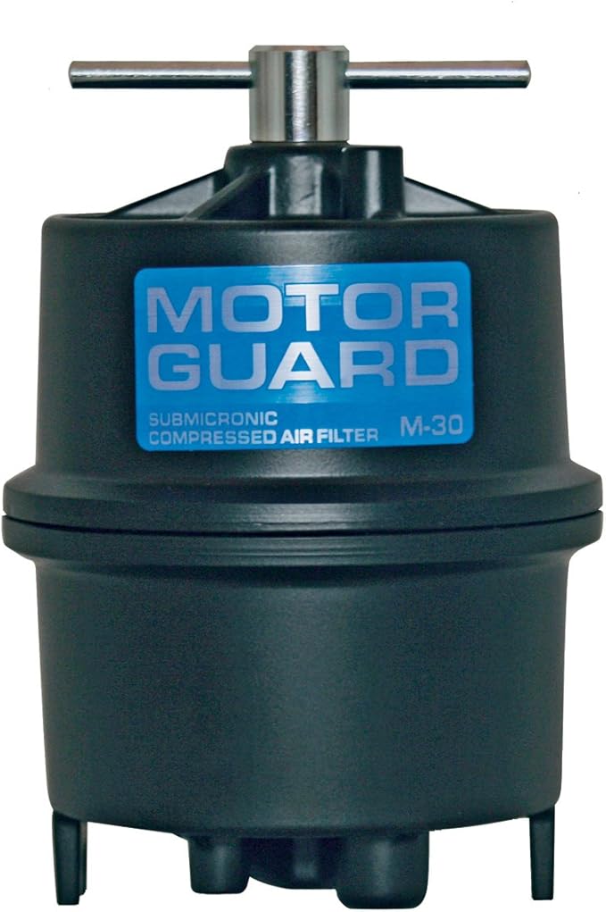 Motor Guard M-45-KIT 1/4 NPT Clean Air Filter Kit