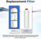 Water Filter Replacement Compatible With Elkay 51600C EWF6000 Bottle Filling Stations, 6000 Gallons/12 Months (No Chip - 2 Pack)