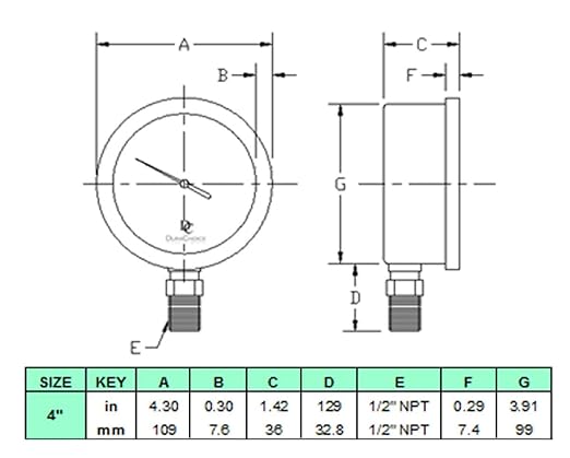 4" Oil Filled Pressure Gauge - Stainless Steel Case, Brass, 1/2" NPT, Lower Mount Connection, 0-6,000PSI