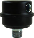 Air Intake Filter Assembly Air Filter Silencer Muffler for Air Compressor Pump 1" MNPT Made in the USA