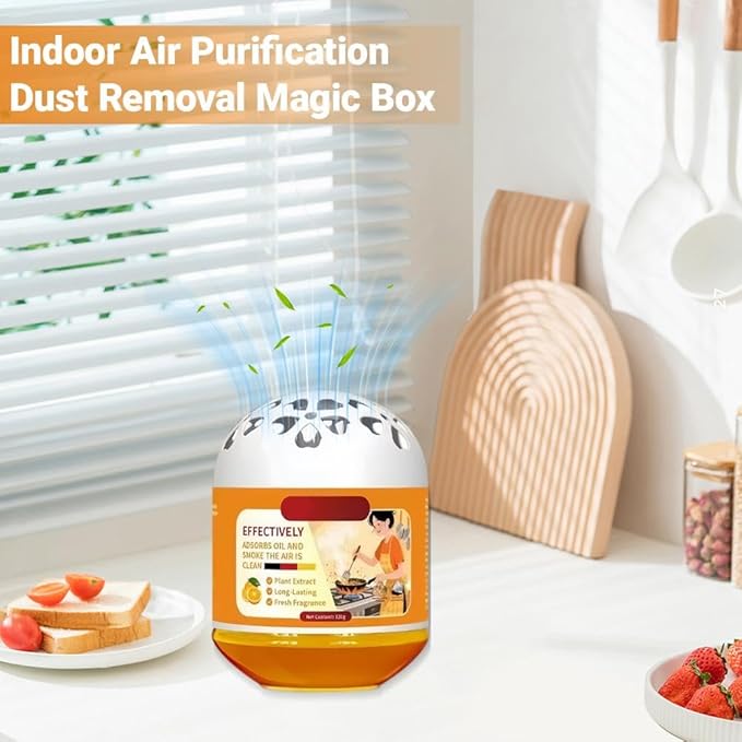 Indoor Air Purification Dust Removal Magic Box, Multi Functional Dust Removal and Purification, Portable Air Cleaner for Pet Areas Home Car Office (1pcs)