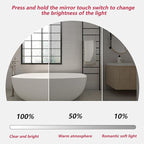 Irregular Bathroom Mirror with LED Lights, Wall Mounted Mirror with Touch Switch and Demister Pad, Drop Shape Decorative Mirror, 3 Colors Dimmable Lighting(A,31.5 * 51.2in/80 * 130cm)