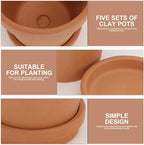 Veemoon 5pcs Red Clay Succulent Flower Pots with Drainage and Saucers, 8x8cm Terracotta Planters for Indoor Outdoor Garden, Breathable Baked Clay Containers for Home Planting