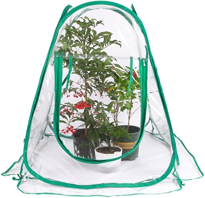 Pop Up Greenhouse Mini Plant Cover - PVC Greenhouses for Flower and Seedling Protection - Outdoor Frost Tent with Transparent Rolling Windows - Includes 4 Steel Hoops & Storage Bag