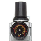 Rockwood 1/2 in. Npt Air Filter Regulators Pressure Regulator with Condensate Discharge Filter and Pressure Gauge Connections