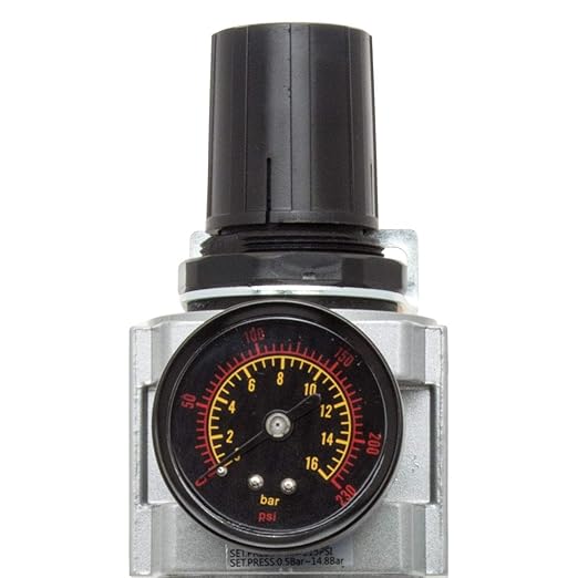 Rockwood 1/2 in. Npt Air Filter Regulators Pressure Regulator with Condensate Discharge Filter and Pressure Gauge Connections