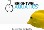 Brightwell Aquatics - Xport-BIO Block Aquarium Filter - Biological Filtration Media for Bacteria Growth, Nutrient Control and Control of Other Unwanted Nutrients - Aquarium Treatments, 12Pack, 1.5inch