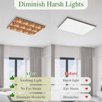 Tropical Plant Cactus Fluorescent Light Covers 3 Pack Western Cowboy Horse Sunset Deserts Brown Magnetic Fluorescent Ceiling Lights Filters for Office Classroom Home Drop Ceiling 4x2 Feet