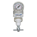 PneumaticPlus SAR200T-N02BG Compressed Air Pressure Regulator 1/4" NPT, T-Handle, Gauge & Bracket
