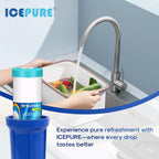 ICEPURE 20" x 4.5" GAC Filter, 5 Micron 20-Inch Whole House Granular Activated Carbon Water (GAC) Filter Replacement for GAC-20BB, FG25B-KS, FI-CAB20-BB, RFN20BB-C 1 Pack