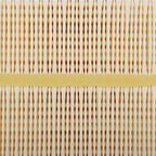 AF55005 AF55308 Air Filter fit for CUMMINS ISB6.7 QSB6.7 Engines 2012 2014 2015 FORD F650 F750 HD Replaces Donaldson DBA5291, Motorcraft FA1917, Ford CC4Z9601A