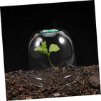 2pcs Small Garden Cloche Clear Plastic Humidity Domes for Mini Greenhouse Protectors with Optimal Airflow and Heat Insulation for Winter Outdoor Use