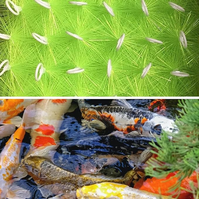 30 Packs Filter Brushes Aquarium Brushes Set for Koi Pond Water Garden Outdoor Pond Skimmers Brush Filter Cleaning Brush 31.5 Inch by 4.7 Inch (Green)