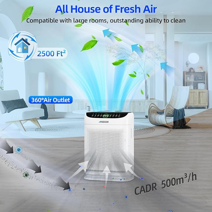 Replacement HEPA Filters Compatible with AnEgoe ZX001 Air Purifier,3 Stage H13 True HEPA Filter for Air Purifiers for Home Large Room up to 2500Ft²,Air Cleaner Filter,2 Pack