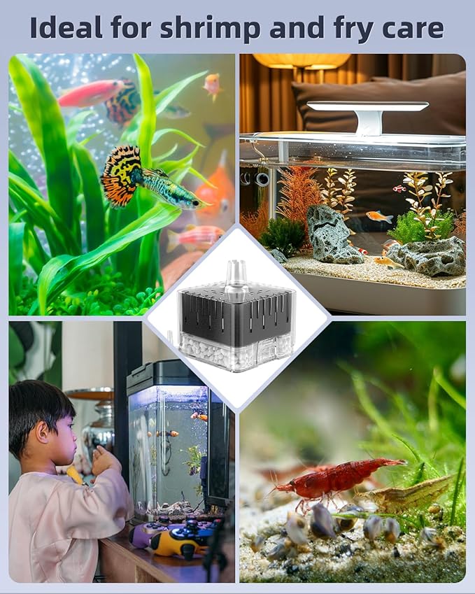 Pawfly Aquarium Sponge Filter for Fish Tanks up to 5-20 Gallons, Small Fish Tank Filter, Sponge Filter with Foam and Air Stone (Air Pump Not Included)