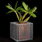 Garden Chicken Wire Animals Enclosure 304 Stainless Steel Woven Wire Mesh Welded Mesh Galvanised Steel Wire Hard and Heat Resisting Wire Mesh Used for Many Projects (Size : L:1.5m-H:1m-1cm)