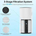 Lv-H133 Replacement Filter Only Compatible with LEVOIT LV-H133 Filter, Efficient Middle Filter and Activated Carbon Filter Set, LV-H133-RF, 2 Pack